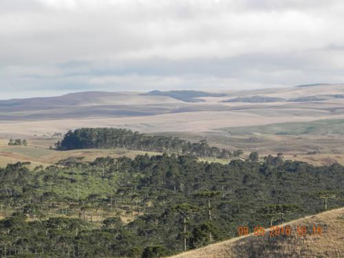 O que é Aparados da Serra