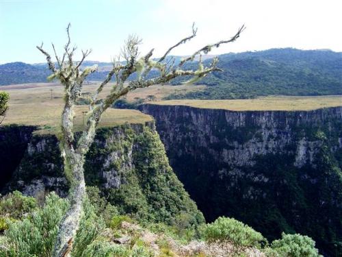 Canyon das Laranjeiras - B. J. da Serra - SC. Foto Luiz Fernando Guglielmi