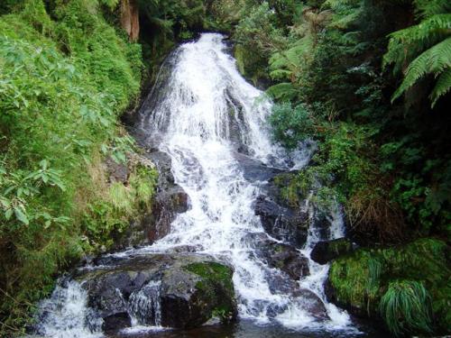 Cascata Vu de Noiva - S. J. dos Ausentes - RS 