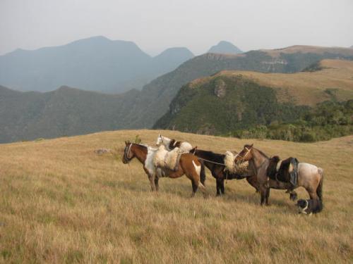 Cavalgadas Aparados da Serra