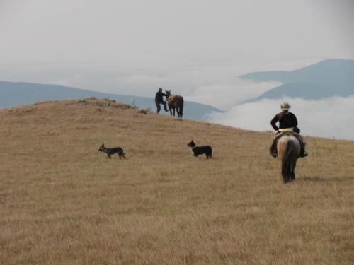 Cavalgadas nos Aparados da Serra - Foto: Joelma Bernada