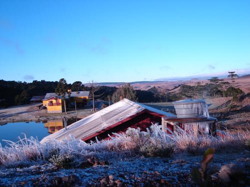 Geada de -08 graus. Foto: Anapio Pereira