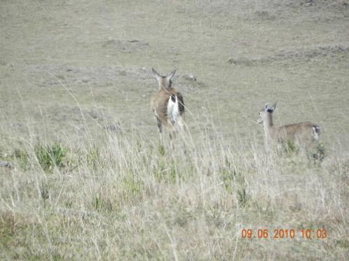 Sobre Aparados da Serra